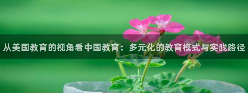 新宝5户端