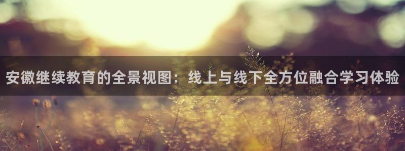 新宝5 代理