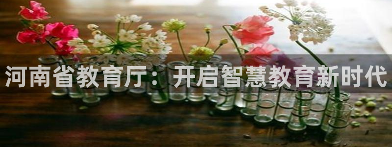 新宝5总代