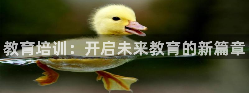新宝5娱乐没