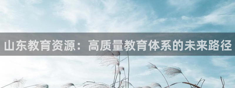 新宝5娱乐代理