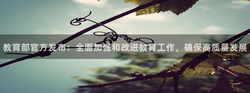 新宝娱乐5