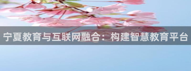 新宝5是谁