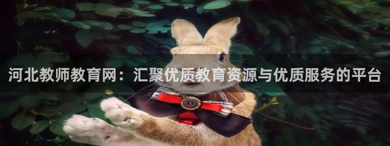 新宝5测速登陆
