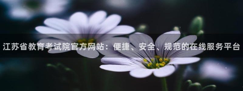 新宝5娱乐多
