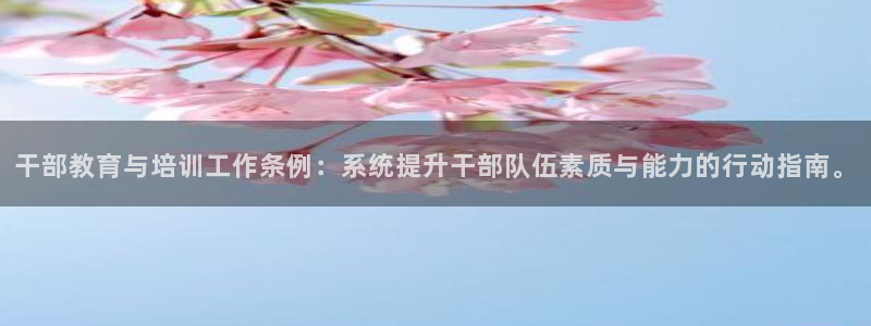新宝5下载 迅雷下载