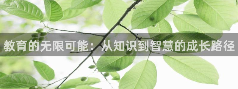 新宝5源码