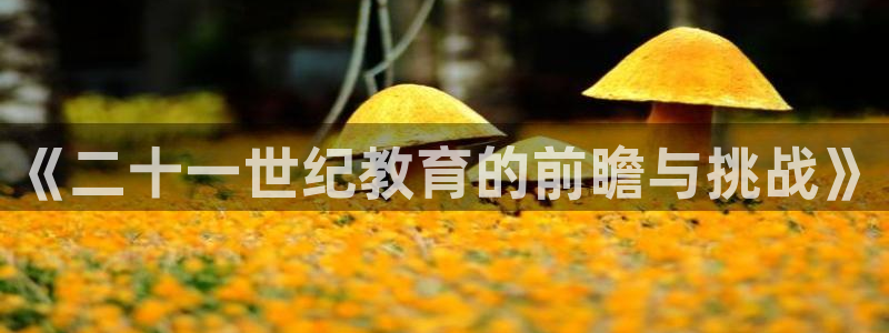新宝5官方网站