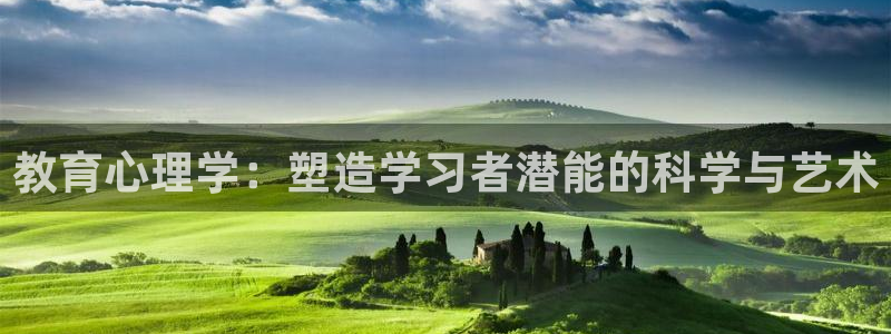 新宝5怎么下载到桌面