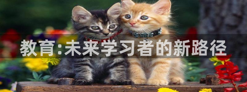 新宝5彩票平台登陆