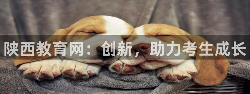 新宝5招商